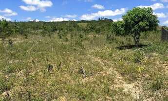 Imagem 3: Oportunidade/Propriedade próxima à fábrica Maratá - Itaporanga d?Ajuda/SE
