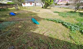 Imagem 3: Terreno Plano ideal para fazer um loteamento