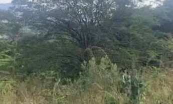 Imagem: Vendo lote 500 metros em Brumadinho 12,500