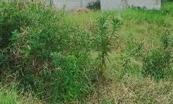 Imagem 4: Terreno e Barra de São João bairro recanto dos paratis