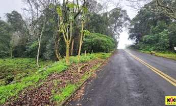 Imagem 7: Terreno para Venda em Nova Petrópolis, Centro