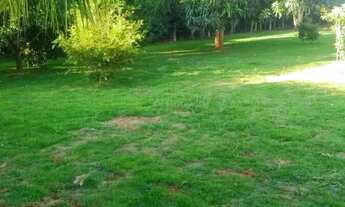 Imagem 4: Chácara para Venda em Setor Central Nova Veneza-GO