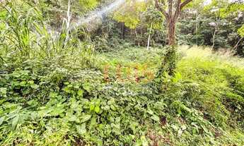 Imagem 2: Terreno à venda, 1000 m² por R$ 600.000 - Piratininga - Niterói/RJ - TE1245