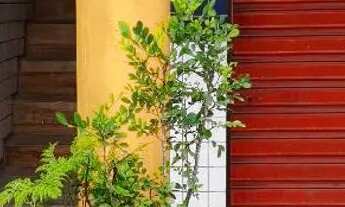 Imagem 10: Aluguel de casa sobreposta