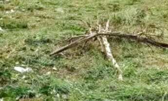 Imagem 4: Terreno à venda por R$ 585000.00, 510.00 m2 - SAO JOAO DO RIO VERMELHO - FLORIANOPOLIS/SC