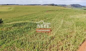 Imagem 3: Fazenda em Avelinopólis-GO (32 alqueires