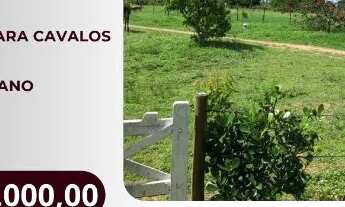 Imagem: SÍTIO EM SÃO GONÇALO - 5,5 TAREFAS