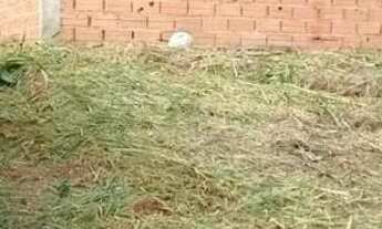 Imagem 5: Lote em Rua Corvina - Barreiro - Mairiporã/SP