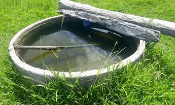 Imagem 5: VENDO FAZENDA 2.400 HAC PANTANAL REGIÃO DE MIMOSO MT