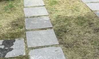 Imagem 4: Paraíso dos sonhos