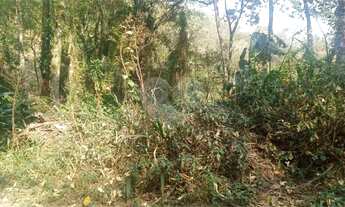 Imagem 2: Terreno à venda em Caraguatá - SP