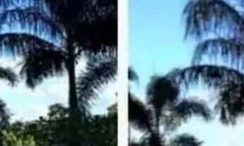 Imagem 2: Apto no Jardim Belo Horizonte de 2 Qtos e 1 Banho por 190 Mil