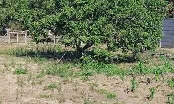 Imagem 4: Chacará Murada 900M2 Bandeirinhas/Betim