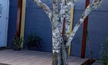 Imagem 2: Vendo casa de praia em Setiba, Guarapari-ES