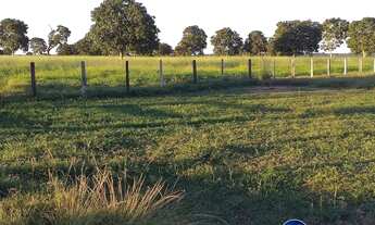 Imagem 2: Fazenda à Venda em Matrinchã Goiás | 46 Alqueires