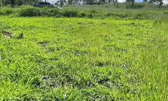 Imagem 3: Terrenos na cidade de São Roque - SP