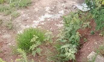 Imagem 7: Terreno Terreno / lote com venda por R$100.000