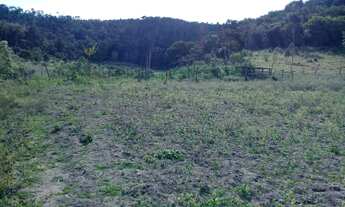 Imagem 2: Vendo sitio 8 alqueires