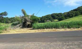 Imagem 3: Sítio para gado regiâo de marilia e Echaporã