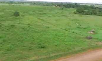 Imagem 7: 56 alqueires a 140 km de Belem por 4.500.000,00 toda no pasto