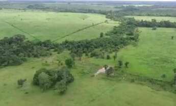 Imagem 2: 56 alqueires a 140 km de Belem por 4.500.000,00 toda no pasto