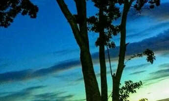 Imagem 7: Sítio / Ilha de Guaratiba, com 13.000m2. Vista da Restinga da Marambaia