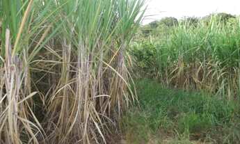 Imagem 6: Fazenda de 230.000m², com córrego nos fundos, Serra do Cipó (Temos varias opções)
