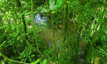 Imagem 2: Belíssimo Sítio entre Rio Rufino e Urubici
