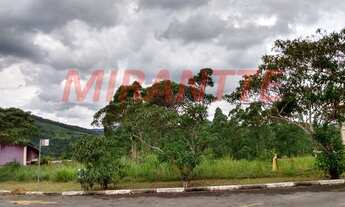 Imagem 2: Em Serra Da Cantareira