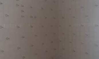 Imagem 6: Apartamento para aluguel possui 75 metros quadrados com 2 quartos