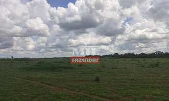Imagem 6: Fazenda no Centro Sul do Tocantins. > 370 Alq. (1.790 Há) Já em Lavoura