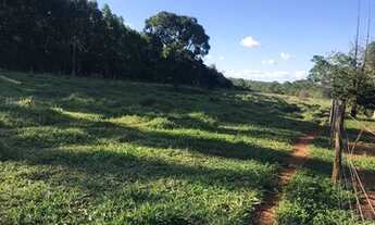 Imagem 4: FAZENDA - SÃO JOÃO DA ALIANÇA