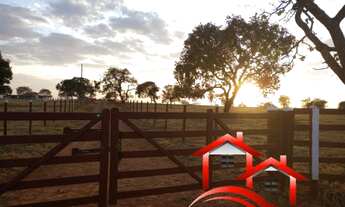 Imagem 5: Fazenda 82,28 Hectares Região Do Prata/MG