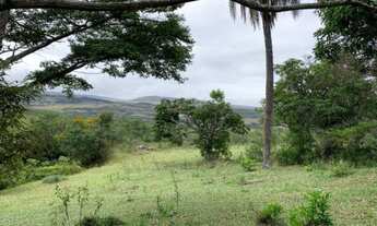 Imagem 4: Fazenda de 122 ha, nascente de água cristalina (Temos varias opções)