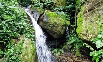 Imagem 3: Fazenda/Sítio/Chácara para venda tem 121 metros quadrados com 3 quartos