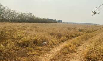 Imagem: Chácara R$230.000 25km de Taguatinga norte!