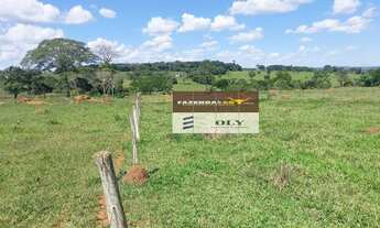 Imagem 7: Fazenda Extra - 8 Alqueires - Região de Goianira - GO !