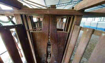 Imagem 3: Sitio de 40 Alqueires Estrada do Varadouro, SJC