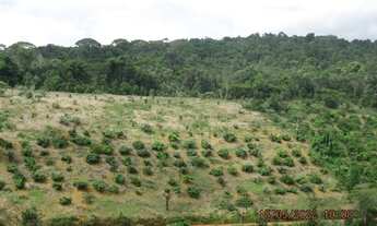Imagem 13: Fazenda em Nilo Peçanha