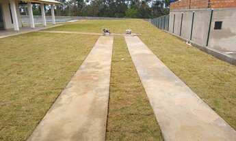 Imagem 5: Chácara para venda tem 1000 metros quadrados