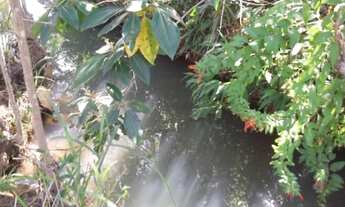 Imagem 7: Fazenda sem sede de 82ha,nascente e córrego nos fundos,Jaboticatubas(Temos varias opções)