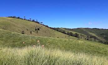 Imagem 3: Fazenda/Sítio/Chácara para venda possui 484000 metros quadrados com 3 quartos