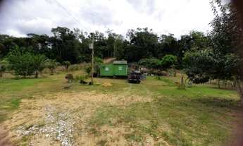 Imagem 3: SÍTIO EM PRESIDENTE FIGUEIREDO - R$ 65.000,00