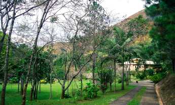 Imagem 3: Itaipava:Vendo Belissima Propriedade /Sitio: 175.000m 2 Um Paraiso com Piscina, Baias Cava