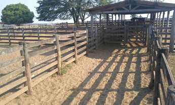 Imagem 6: Marcelo paredao 001