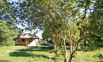 Imagem 5: Sítio à venda, 15 hectares, 320 pés de limão produzindo, Poço artesiano