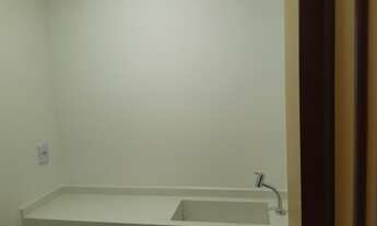 Imagem 5: Ile Verte Em Construção