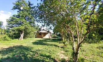 Imagem 6: Sítio à venda, 15 hectares, 320 pés de limão produzindo, Poço artesiano