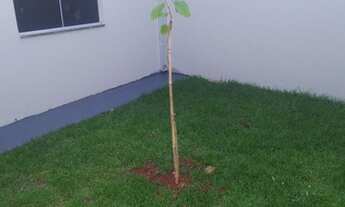 Imagem 3: Casa térrea Jardim Tijuca, 2 quartos