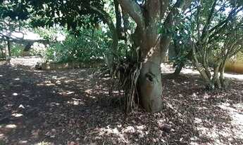 Imagem 2: Chácara com 1 dormitório à venda, 2724 m² por R$ 200.000,00 - Vila Americana - Tatuí/SP